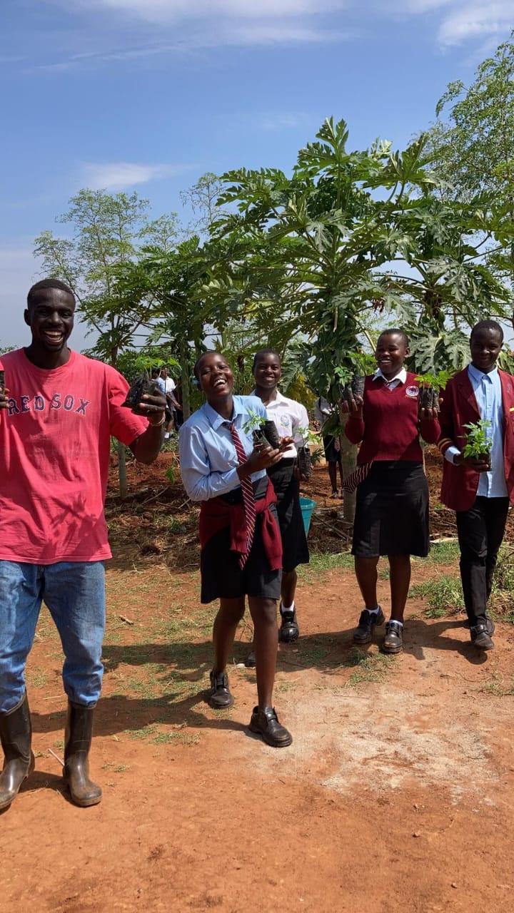 Volunteer watering a young tree